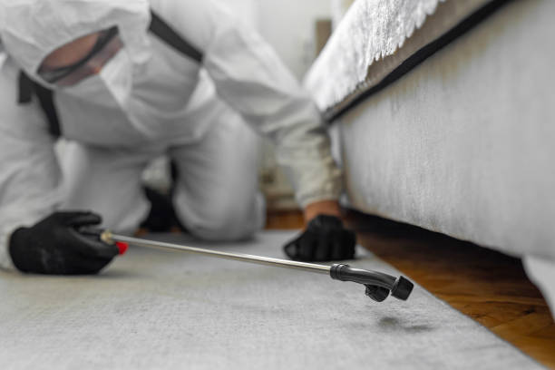 Professional Bed Bug Control technician working in Lake Park, FL
